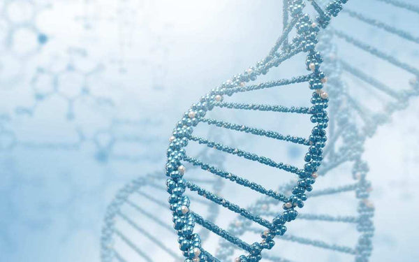 Common Uses for DNA Extraction for Labs