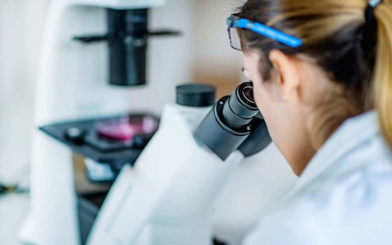 5 Benefits of Upgrading to a Professional Incubator